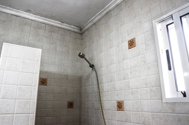 Bathroom grout before restoration